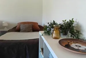 Tilava kaksio Lapinlahti keskusta - Alapitkä