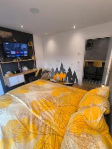 Studio en Gruyère - Grande terrasse privée 50m2 et Jaccuzi optionnel