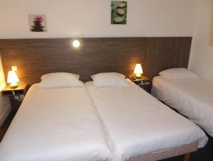 Hotels Hotel Le Cosy Blois Villebarou : photos des chambres