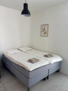 Foliate Living Taimi