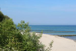 Bungalow Leuchtturm im Ostseeidyll am Waldrand