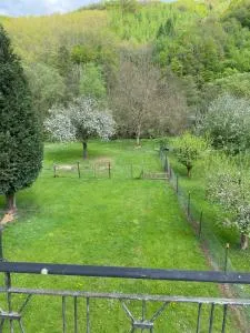 Ferienhaus Alfbach - 阿尔夫