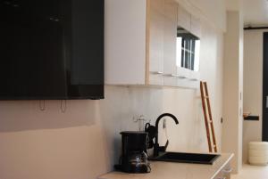 Vaios Luxury Apartments