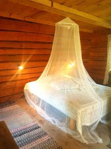 Paali cottage rent
