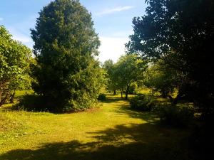 Paali cottage rent