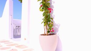 Lemon Tree Maisonette - Naoussa Paros