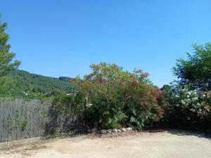 Studio moderne avec piscine privée près de Mercuer 15 m²