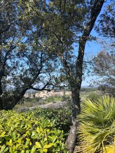 Villas Mas exceptionnel a Lagnes, Provence : photos des chambres