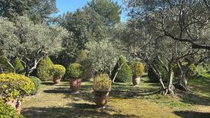 Villas Mas exceptionnel a Lagnes, Provence : photos des chambres