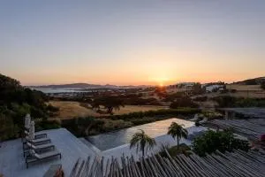 House of Old Olive Tree - Angairiá