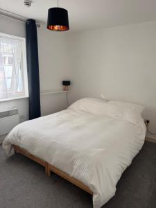 Room in central Leeds apartment