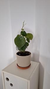 Lindo y confortable departamento con perfecta ubicación