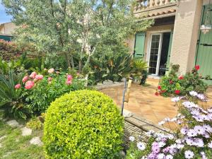 Appartements Studio Soleil - Piscine, Parking, Jardin, Calme, Wifi, 2 personnes : photos des chambres