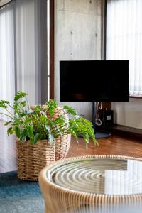 Alumina アルミナ