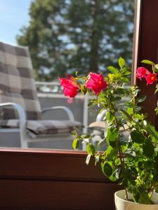 Ferienwohungen Ingrid Gevers