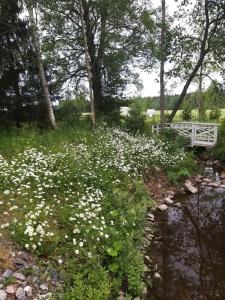 Elämysmajoitus Olipa Kerran