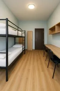 The irron Pillow - Gori