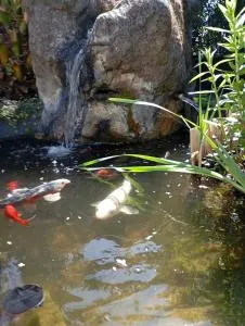 Au rocher de Pascal lit mezzanine - 蒙塔利韦莱班