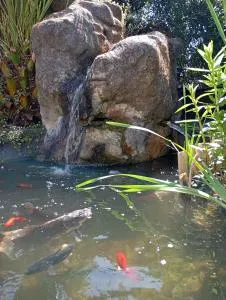 Au rocher de Pascal lit mezzanine - 蒙塔利韦莱班