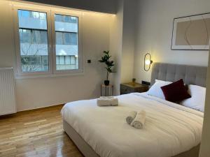 Astidamantos, fantastic apartment in Pangrati