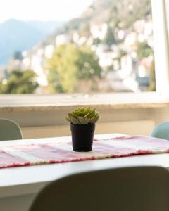 Appartamento Lago Verde