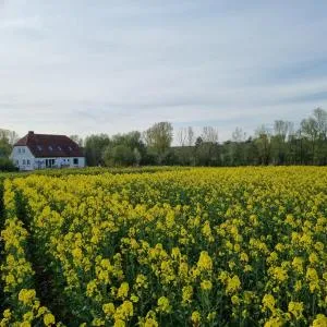 Traumberg - Abtswind