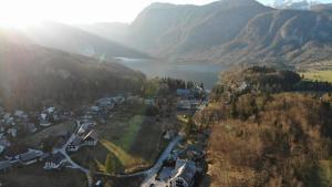 Apartment MANCA-HOLIN 