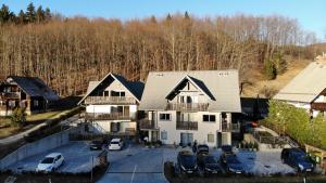 Apartment MANCA-HOLIN