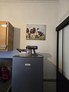 Appartements Carcassonne spirit : photos des chambres