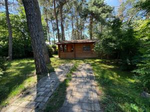 Ferienhaus Waldblick