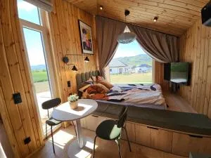 AleWidok - 希隆斯克地区宗布科维采