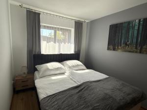 Apartament Pod Leśnym Niebem
