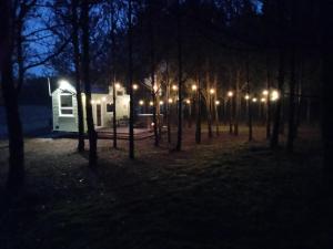 Tiny house in the forest