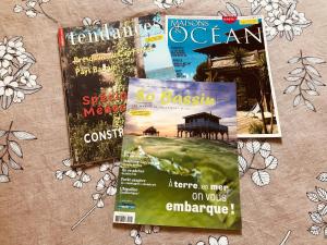 Maisons de vacances Cocon entre presqu'ile du Cap Ferret et plages oceanes - terrasse - 1 velo gratuit : photos des chambres