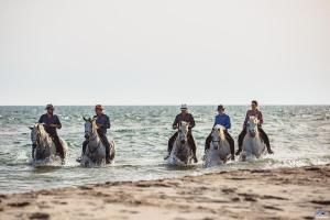 LÉcume Saintes Maries de la Mer
