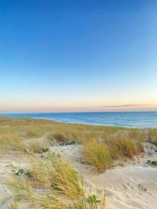 Maisons de vacances Cocon entre presqu'ile du Cap Ferret et plages oceanes - terrasse - 1 velo gratuit : photos des chambres