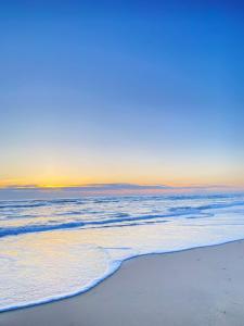 Maisons de vacances Cocon entre presqu'ile du Cap Ferret et plages oceanes - terrasse - 1 velo gratuit : photos des chambres