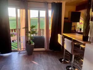 Modern attic apartment with pool view AC and gym - Wolfstein