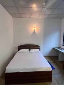 White House by Araliya