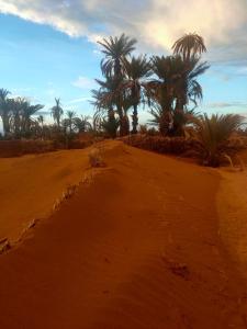 Sahara Luxury Room and Tours