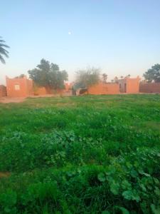 Sahara Luxury Room and Tours