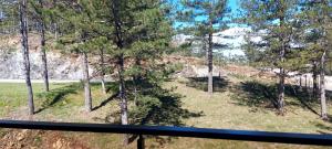 FOREST SIDE Apartmani