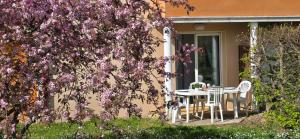 Appartement 4-6 personnes à Prayssac - résidence avec Piscine