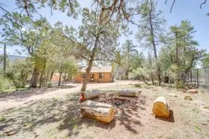 Outdoor Entertainment Spaces Remote Pine Home! - Pine