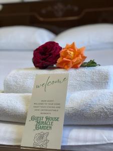 Guest House Miracle Garden