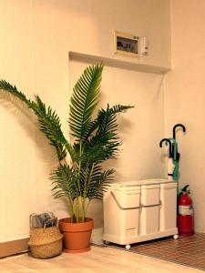 Nelit Stay l 3 stops to Hongdae l 5min to Lines 2&5 l 2BR l 4 Beds