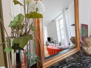 Appartements Nid douillet au coeur d'Uzes : photos des chambres