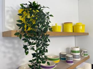 Praia do Carvoeiro, Quinta do Paraíso