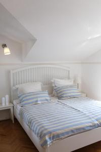 Medusalina-Maestrale