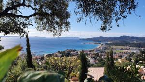 Rooftop du Lavandou - terrace and pool